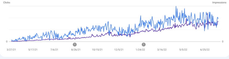 Dr. Nina organic traffic growth over 12 months